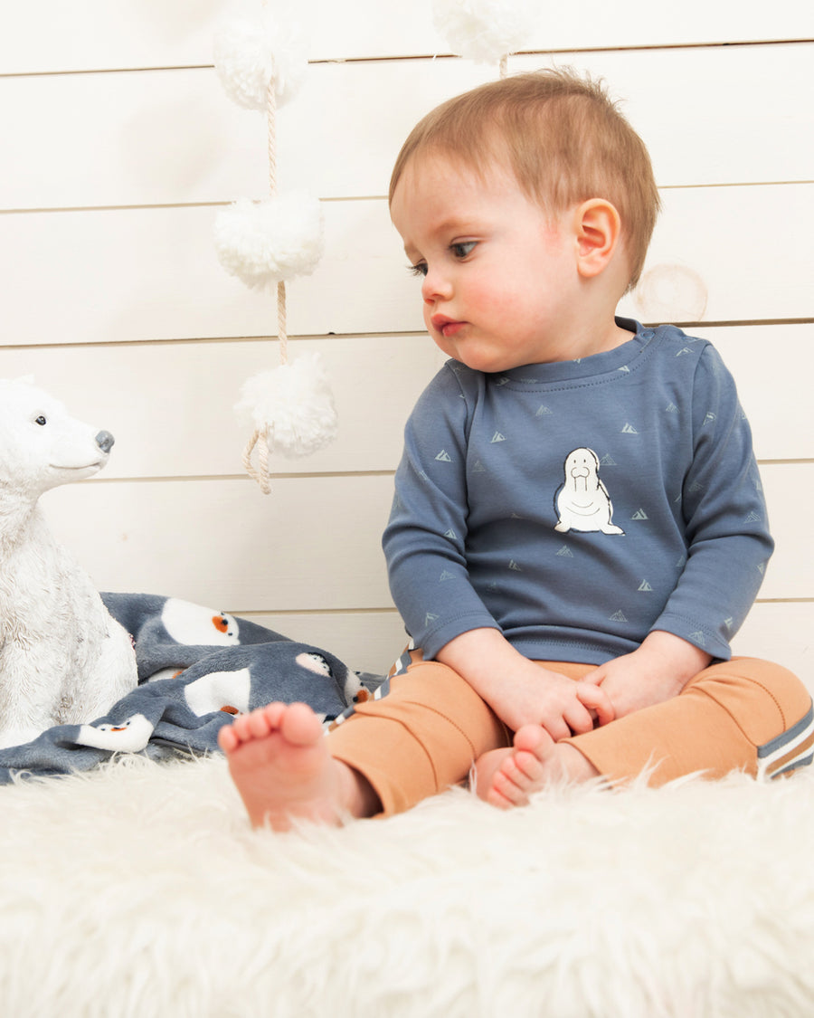 DPD Mountain Top & Pants Set - 3 month